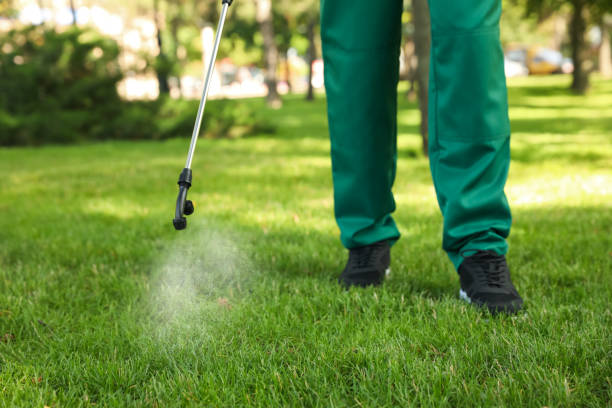 Best Best Pest Control Companies  in Sundown, TX