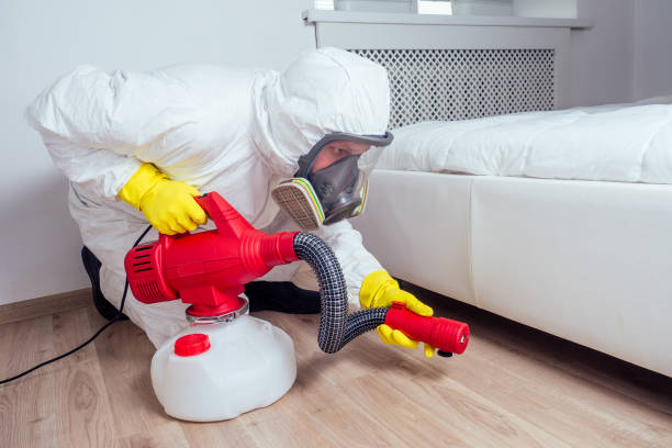 Best Bed Bug Extermination  in Sundown, TX