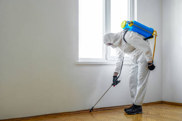 Best Best Pest Control Companies  in Sundown, TX