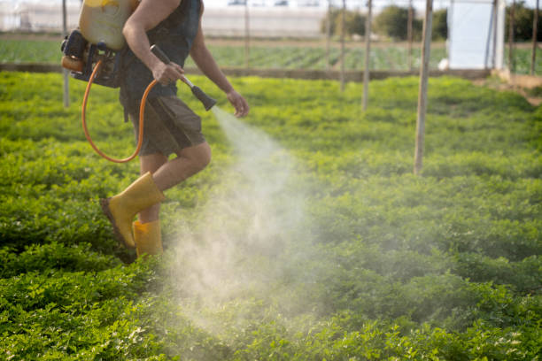 Best Affordable Pest Control Services  in Sundown, TX