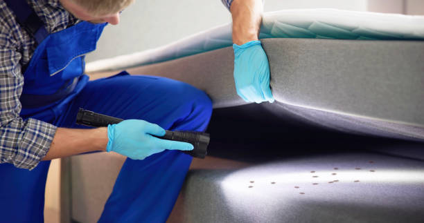 Best Rat Extermination Near Me  in Sundown, TX