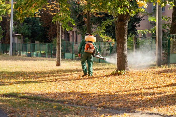 Best Commercial Pest Control Services  in Sundown, TX