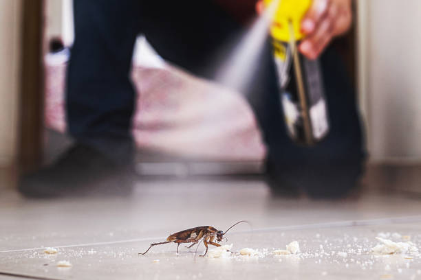 Best Pest Removal Services  in Sundown, TX