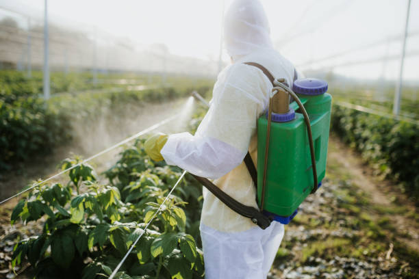 Best Best Pest Control Companies  in Sundown, TX